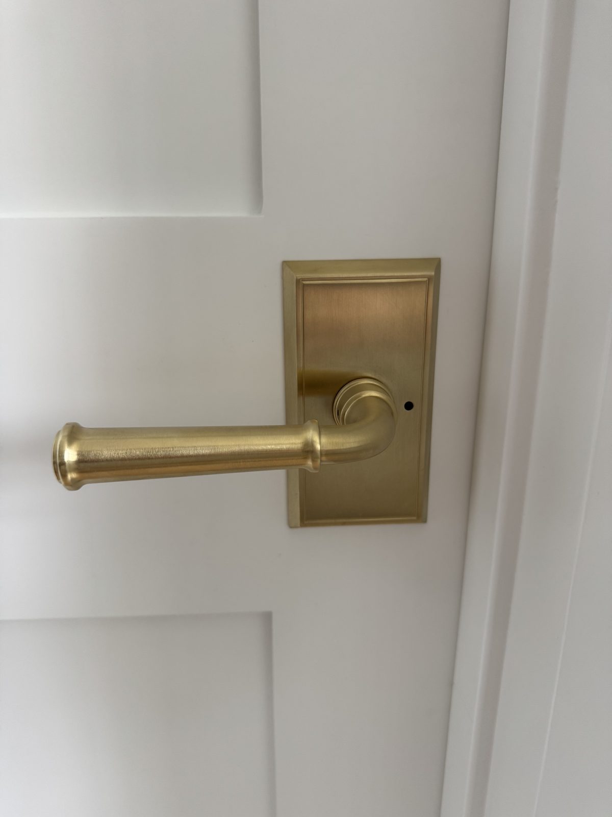 Door hardware detail